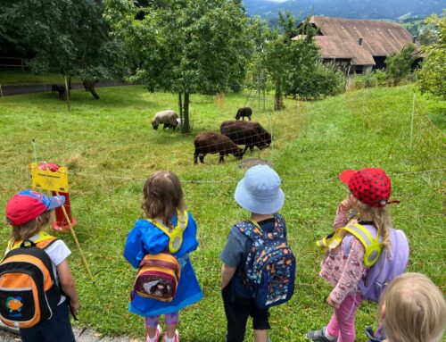 Erlebnisse in der Sommerzeit 2024