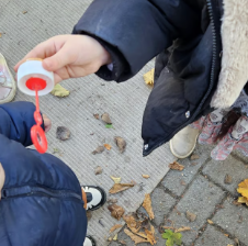 screenshot 2026 04 13 090023